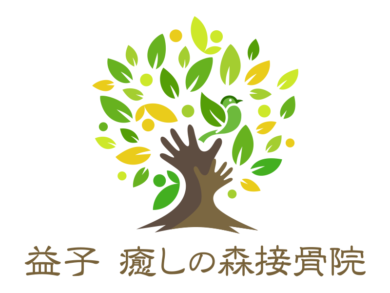益子 癒しの森接骨院